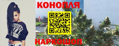 скорость Гатчина