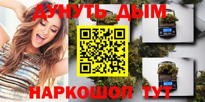 скорость Гатчина