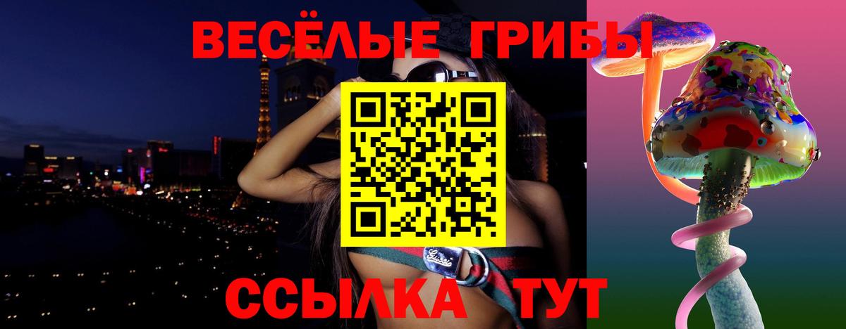 Псилоцибиновые грибы прущие грибы  хочу   Галлюциногенные грибы прущие грибы  Димитровград  Вход с VPN 